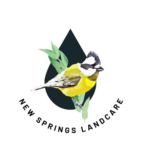 Logo NewSprings (1)